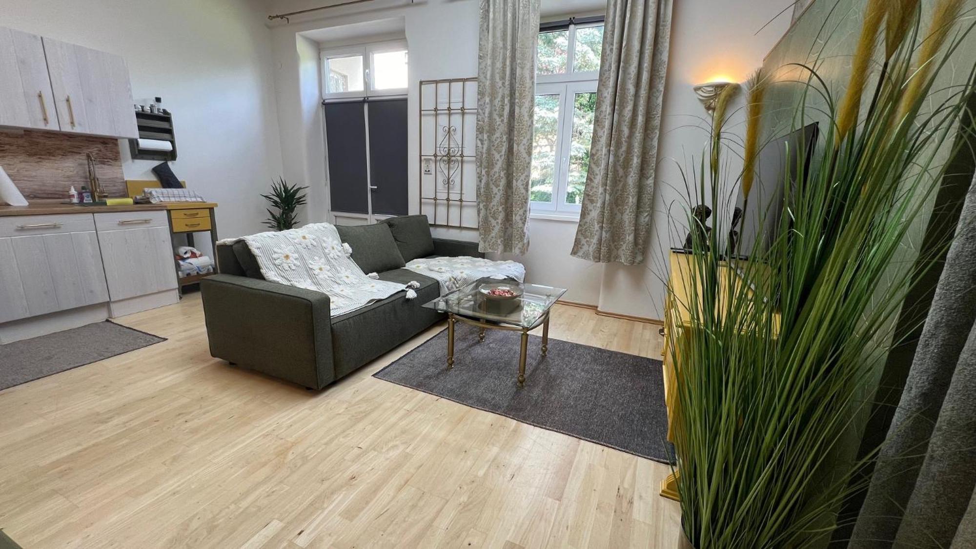 Appartment Rosengarten Baden Extérieur photo